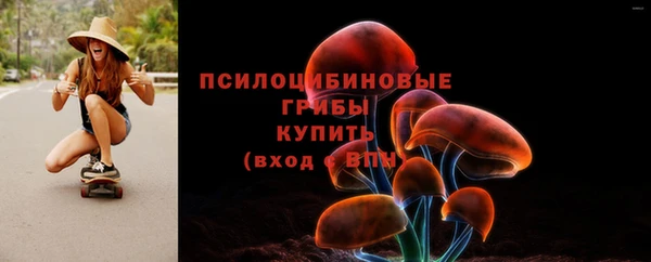 СК Белокуриха