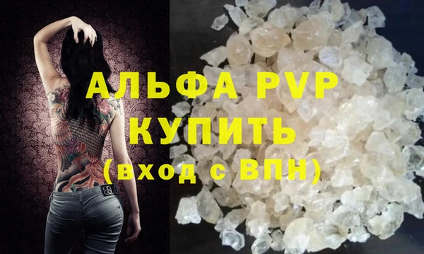 СК Белокуриха