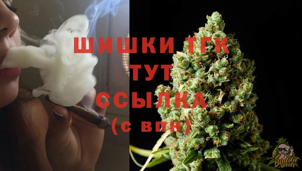 СК Белокуриха