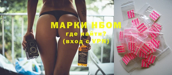 шишки Богородицк