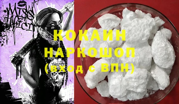 СК Белокуриха