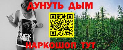 шишки Гагарин