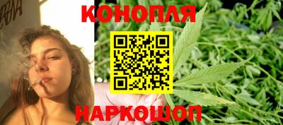 шишки Гагарин