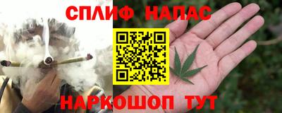 гидропоника Гатчина