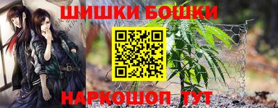 амф Гай