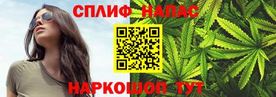 амф Гай
