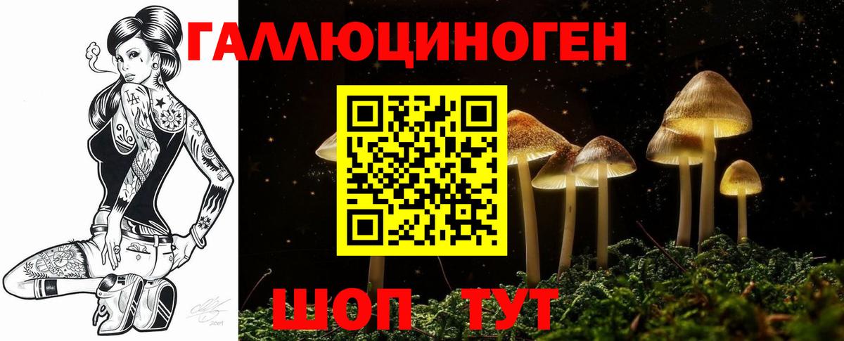 Псилоцибиновые грибы Psilocybine cubensis Бутурлиновка