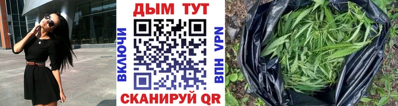 где купить   ссылка на мегу маркетплейс  Конопля сатива  Бутурлиновка 